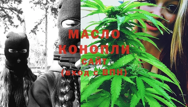 стаф Балахна