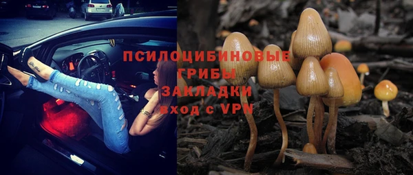 стаф Балахна