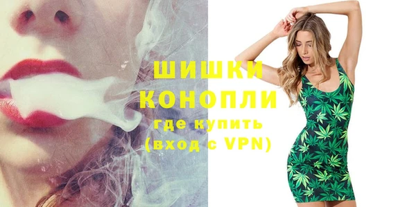 стаф Балахна