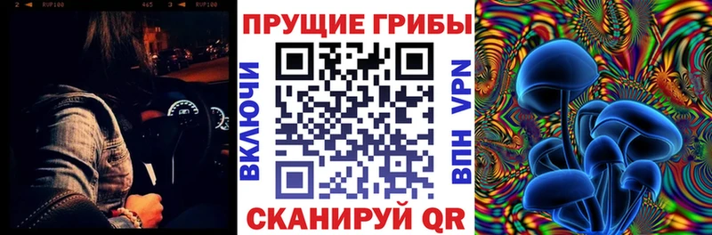 Псилоцибиновые грибы мухоморы  Купить закладки  Сунжа 