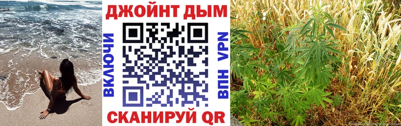 Купить закладки  Сунжа  Конопля семена 